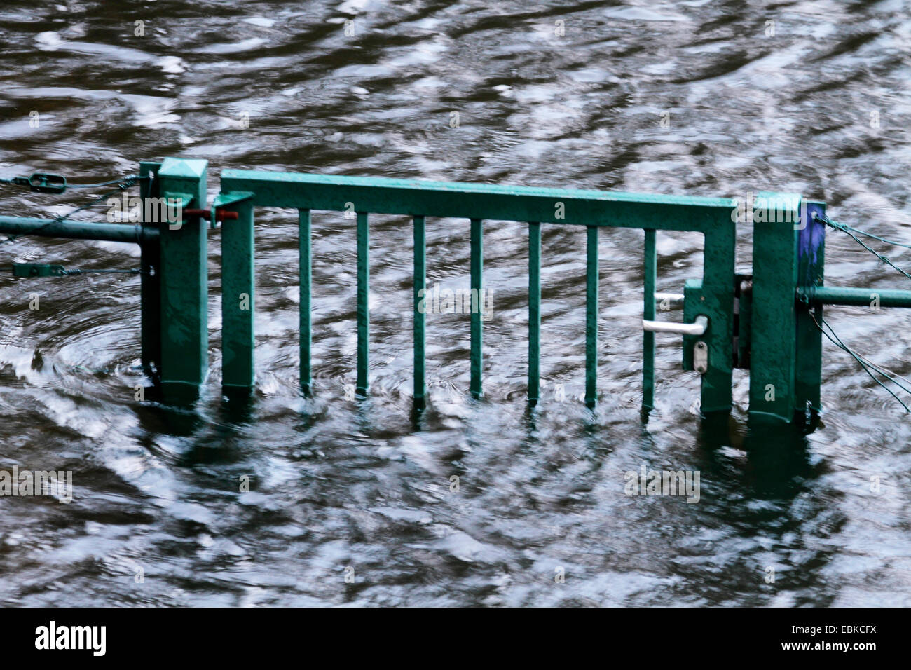 Ruhr acqua alta dopo la pioggia costante sbarramento sentieri e strade private, in Germania, in Renania settentrionale-Vestfalia, la zona della Ruhr, Essen Foto Stock