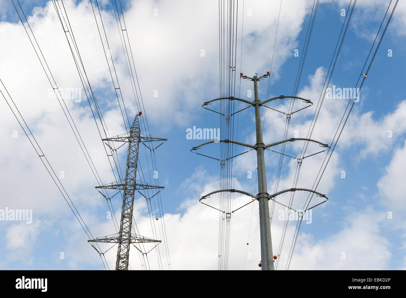 Le linee elettriche in alta tensione Foto Stock
