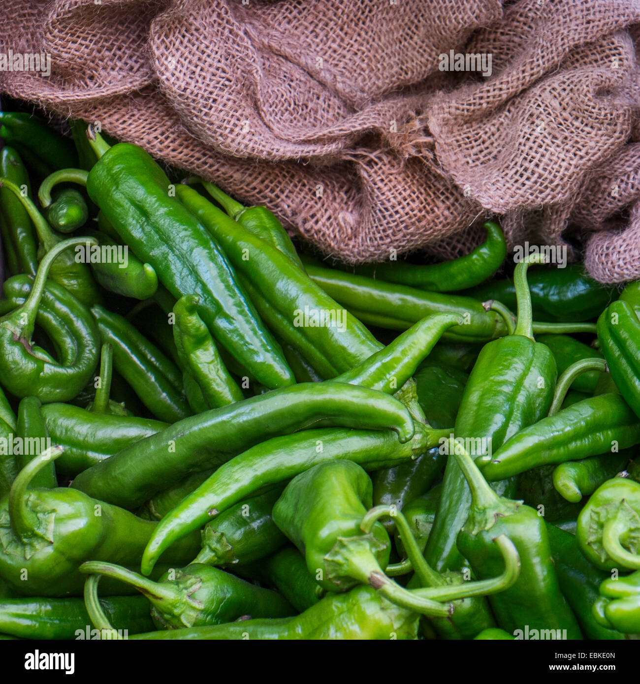 Verde peperoncini jalapeno Foto Stock