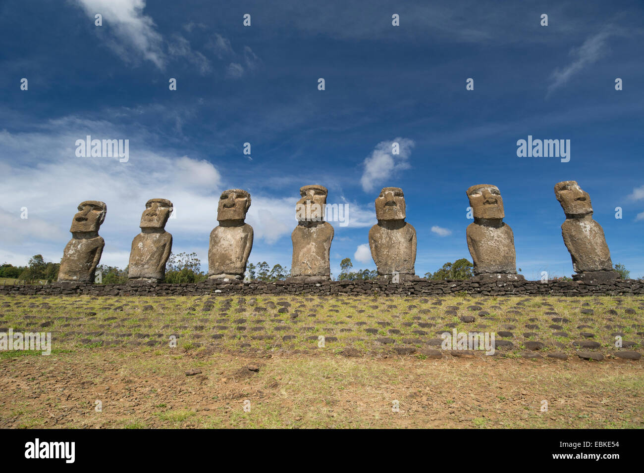 Il Cile, Isola di Pasqua aka Rapa Nui. Ahu Akivi, piattaforma cerimoniale con sette restaurato in piedi moai statue. Foto Stock