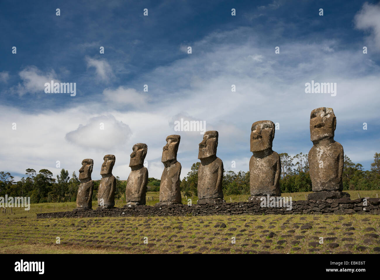 Il Cile, Isola di Pasqua aka Rapa Nui. Ahu Akivi, piattaforma cerimoniale con sette restaurato in piedi moai statue. Foto Stock