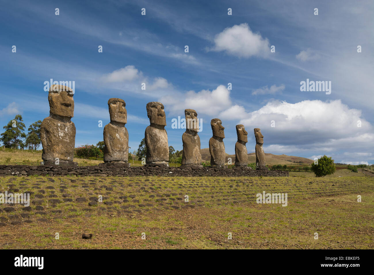 Il Cile, Isola di Pasqua aka Rapa Nui. Ahu Akivi, piattaforma cerimoniale con sette restaurato in piedi moai statue. Foto Stock