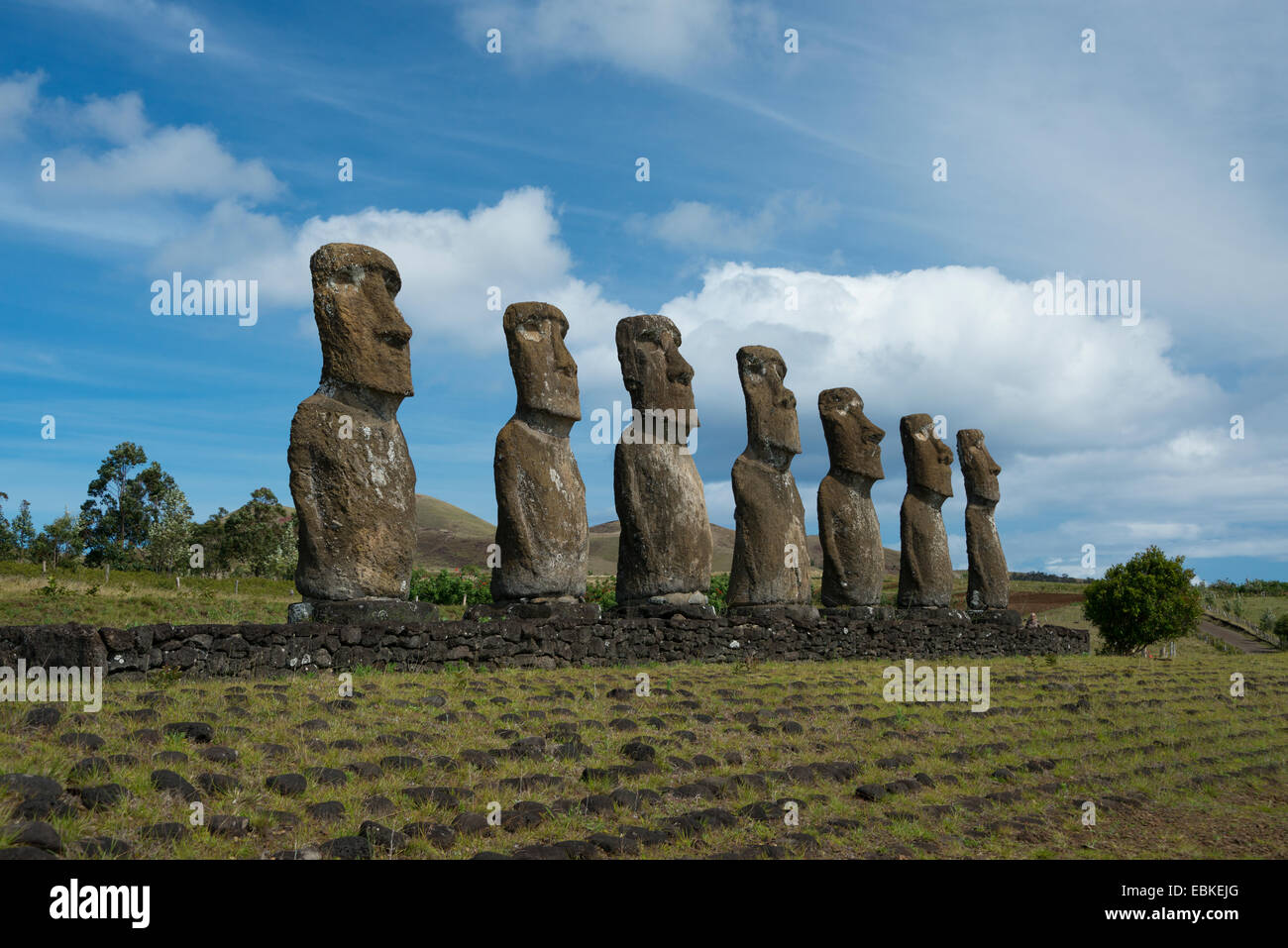 Il Cile, Isola di Pasqua aka Rapa Nui. Ahu Akivi, piattaforma cerimoniale con sette restaurato in piedi moai statue. Foto Stock