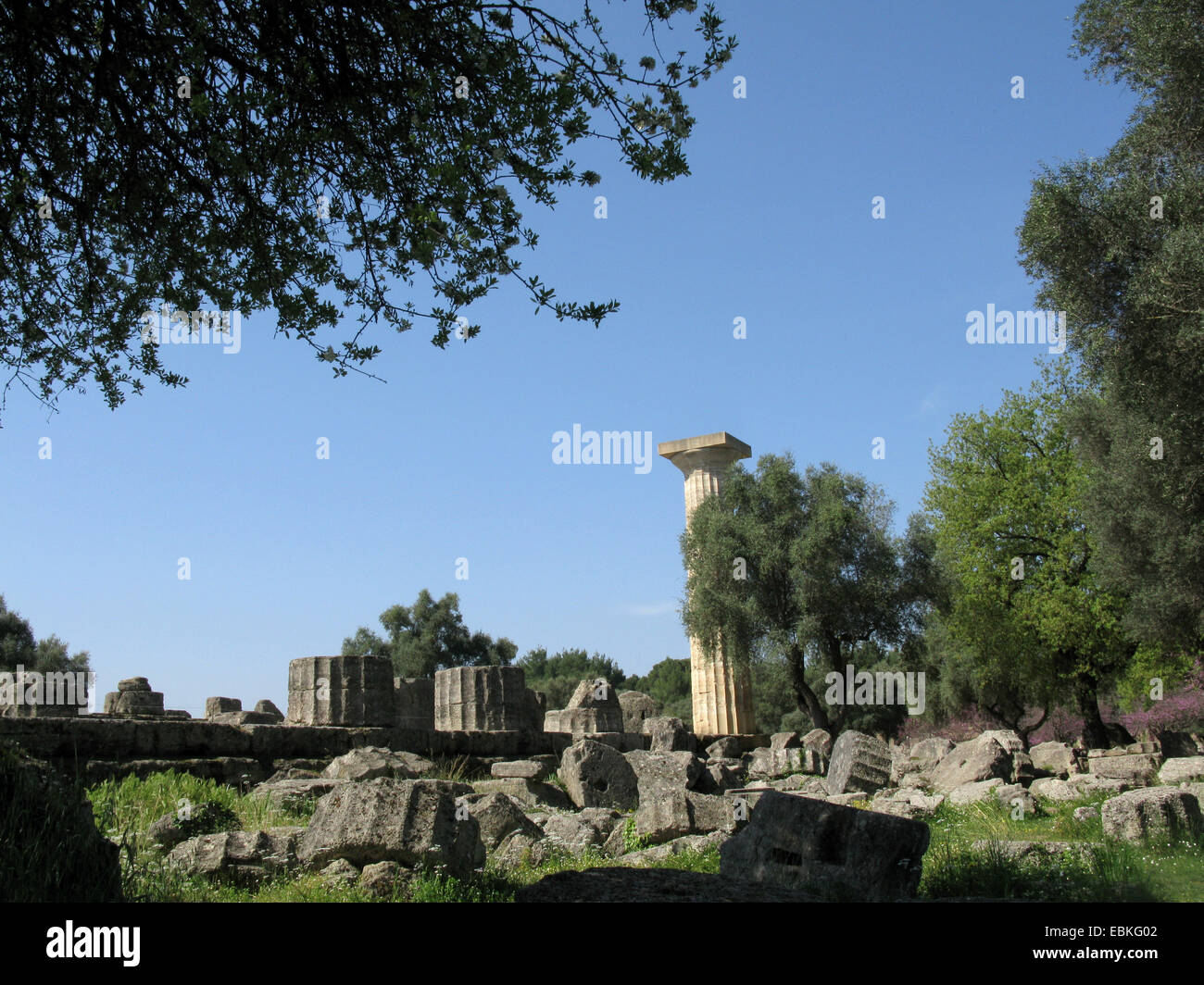 Tempio di Zeus ad Olimpia, Grecia, Peloponneso, Olympia Foto Stock
