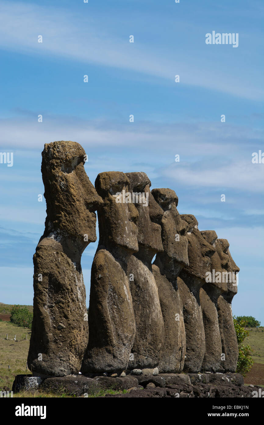 Il Cile, Isola di Pasqua aka Rapa Nui. Ahu Akivi, piattaforma cerimoniale con sette restaurato in piedi moai statue. Foto Stock