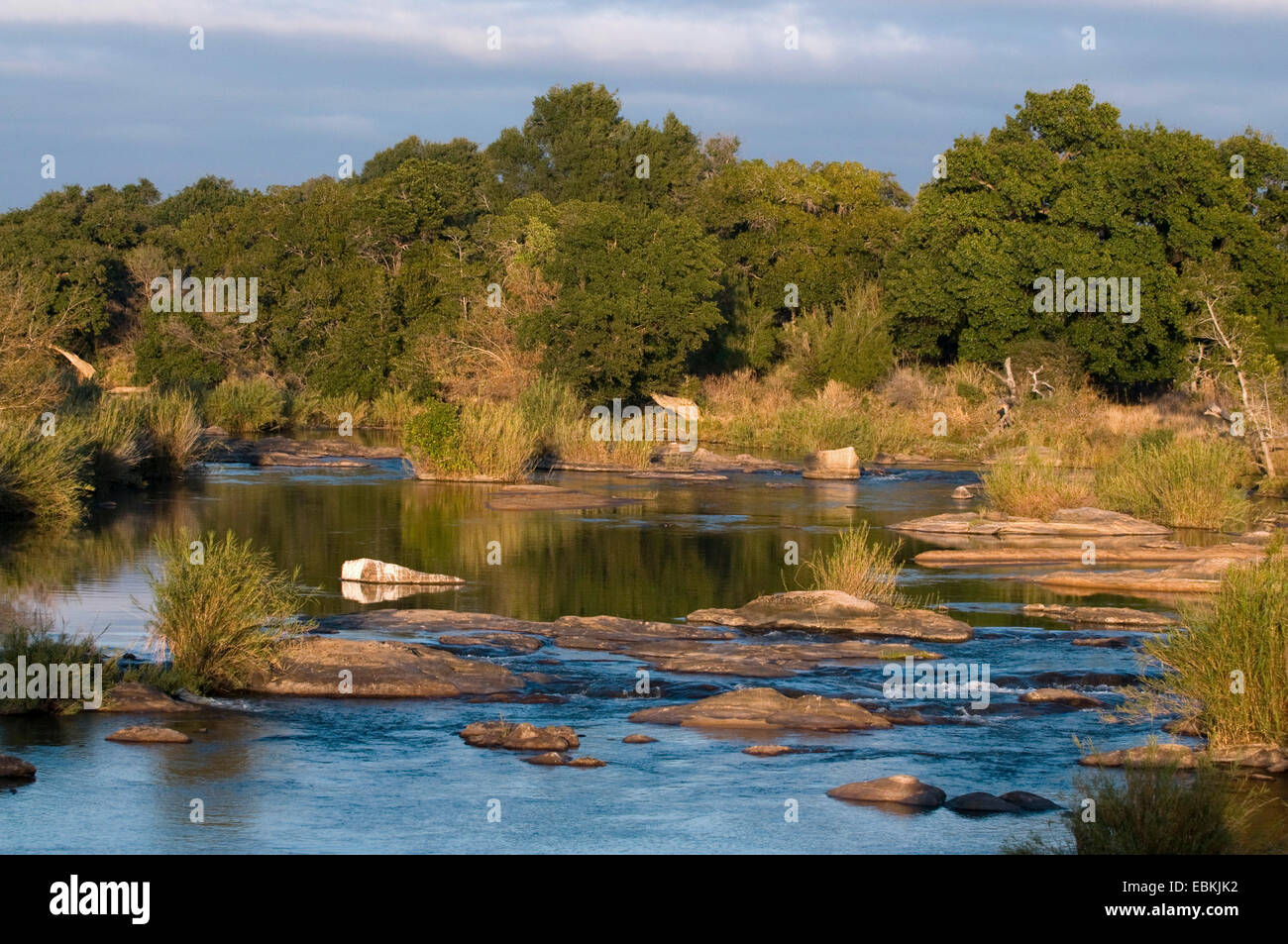Fiume nel Krueger National Park, Sud Africa - Mpumalanga Krueger National Park Foto Stock