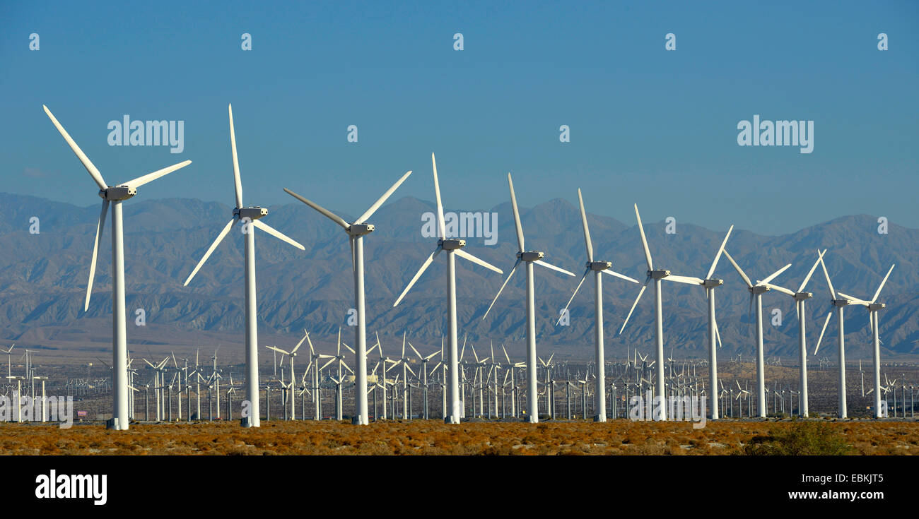 San Gorgonio Pass Wind Farm, Stati Uniti, California, San Bernardino montagne, Palm Springs Foto Stock
