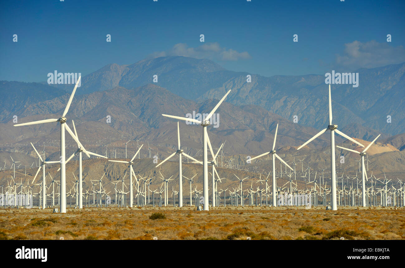 San Gorgonio Pass Wind Farm, Stati Uniti, California, San Bernardino montagne, Palm Springs Foto Stock