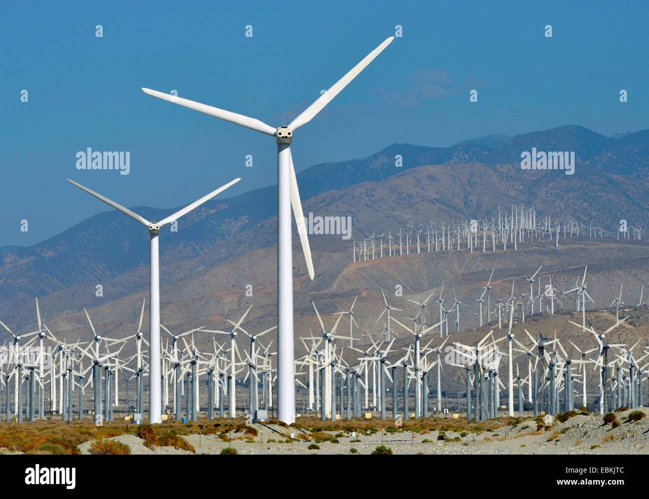 San Gorgonio Pass Wind Farm, Stati Uniti, California, San Bernardino montagne, Palm Springs Foto Stock