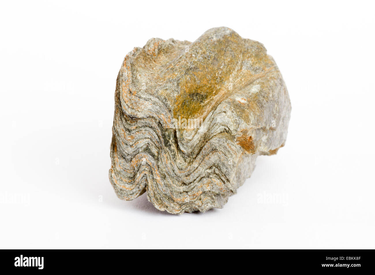 Piega geologico in una pietra, Italia, Alto Adige, Italia Foto Stock