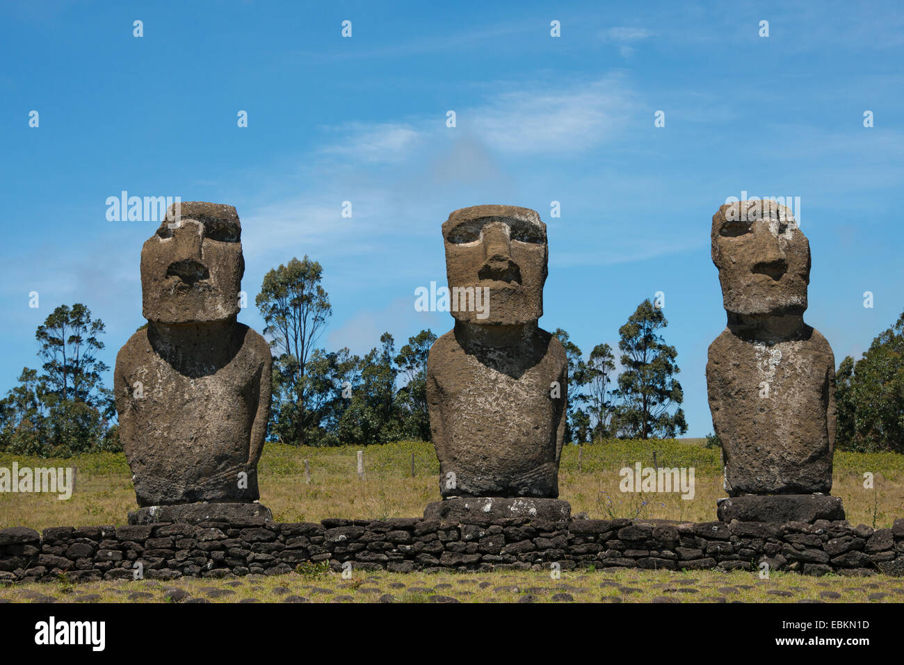 Il Cile, Isola di Pasqua aka Rapa Nui. Ahu Akivi, piattaforma cerimoniale con sette restaurato in piedi moai statue. Foto Stock