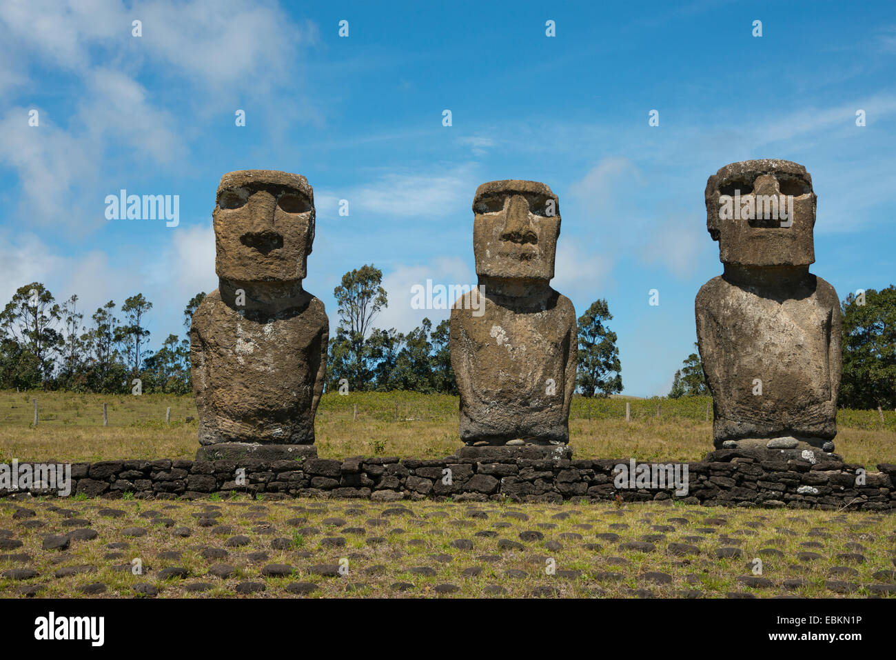 Il Cile, Isola di Pasqua aka Rapa Nui. Ahu Akivi, piattaforma cerimoniale con sette restaurato in piedi moai statue. Foto Stock