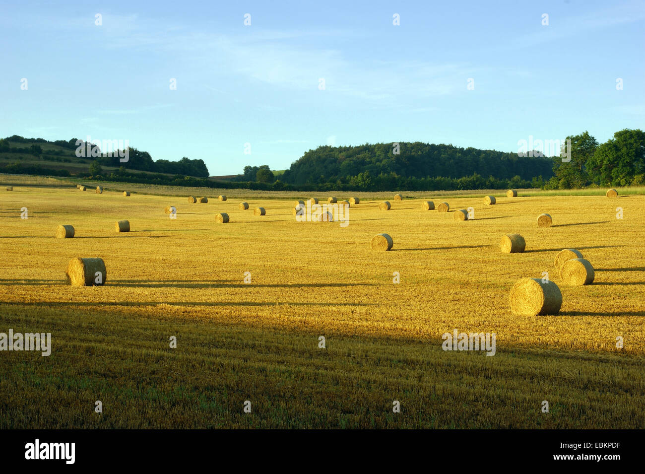 Paesaggio di campo nell'Eifel con balle di fieno che risplende nelle prime luci del giorno, in Germania, in Renania settentrionale-Vestfalia, Eifel, Blankenheim Foto Stock