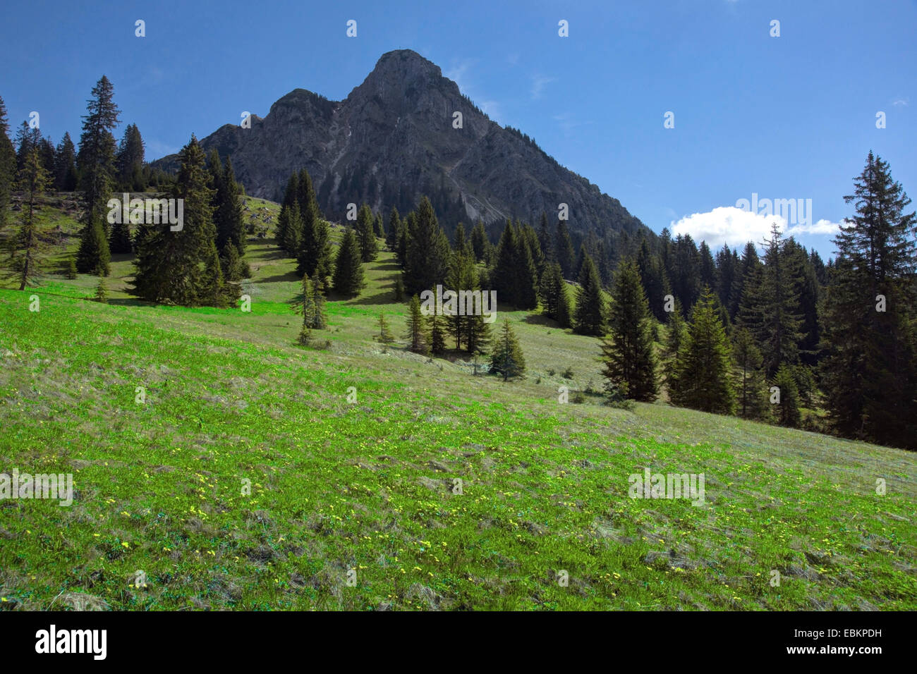 Vista panoramica in primavera la Tannheimer Berge oltre la Tannheimer Tal su Einstein (1866 m), Austria, Tirolo Foto Stock