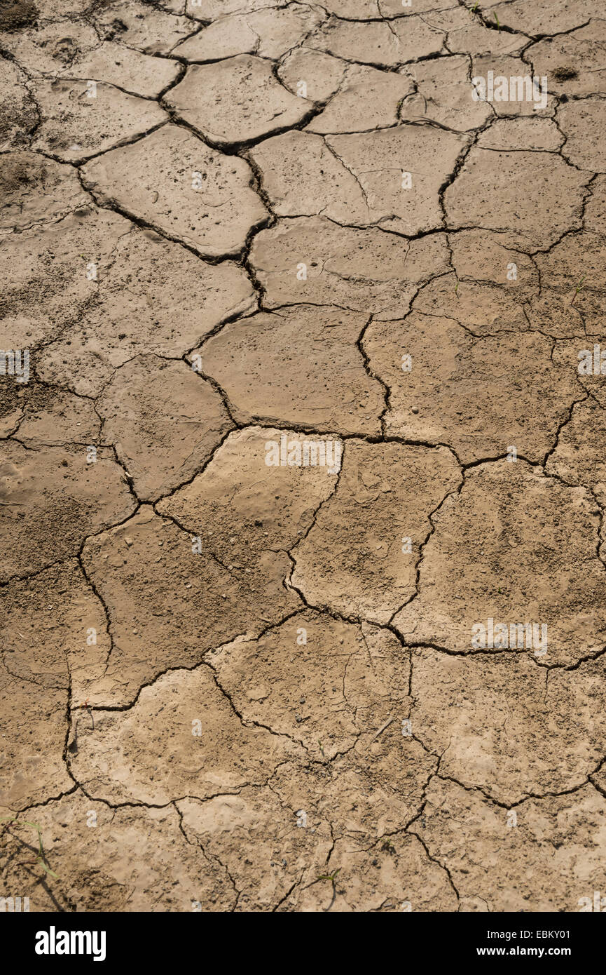 Asciugare il fango incrinato nel dettaglio della siccità Foto Stock