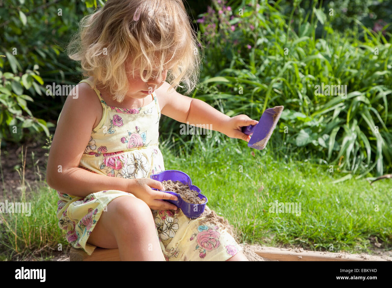 Paesi Bassi, Helvoirt, bambina (2-3) giocando in sandbox Foto Stock