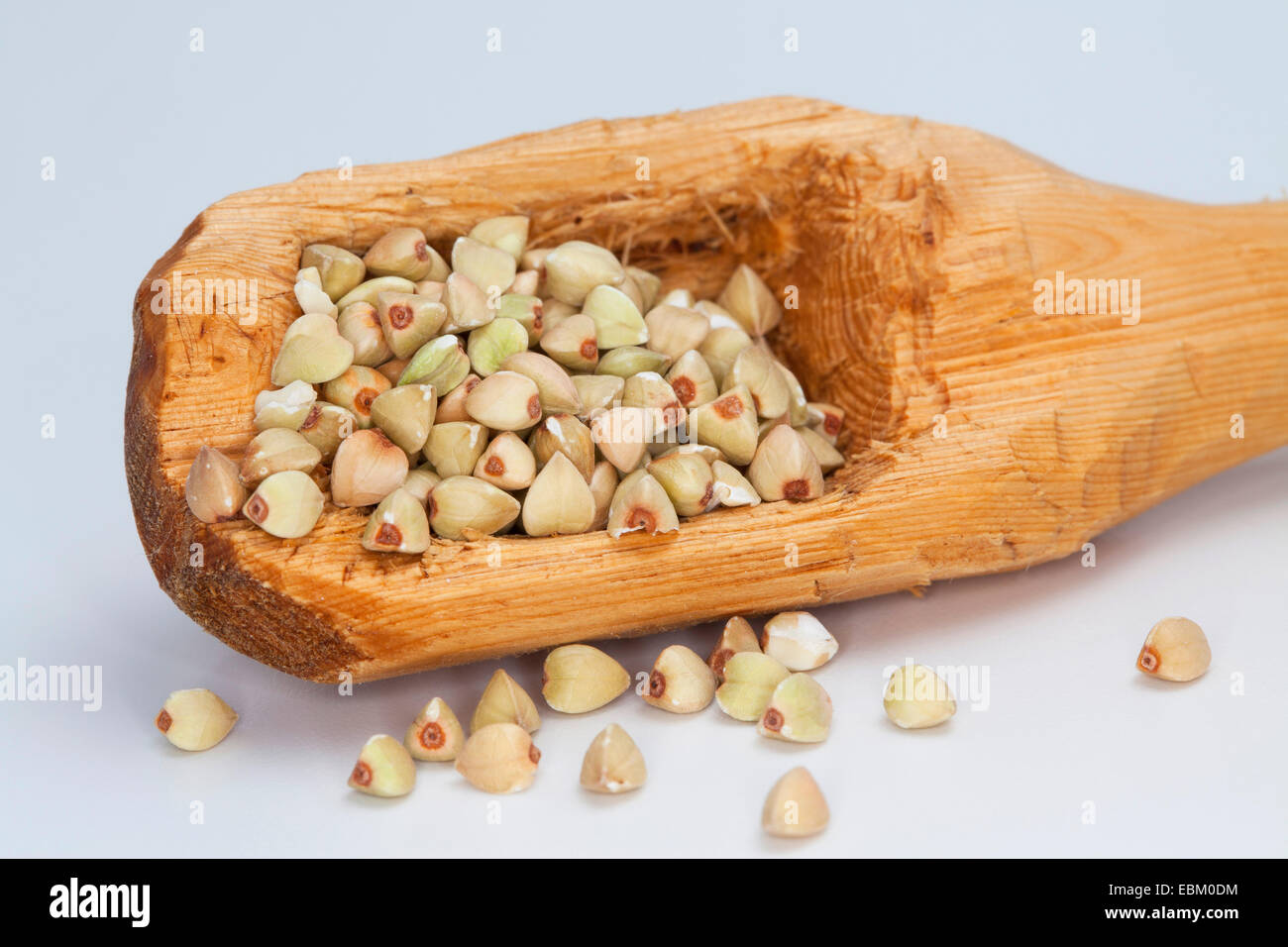 Il grano saraceno (Fagopyrum esculentum), semi su un cucchiaio di legno Foto Stock