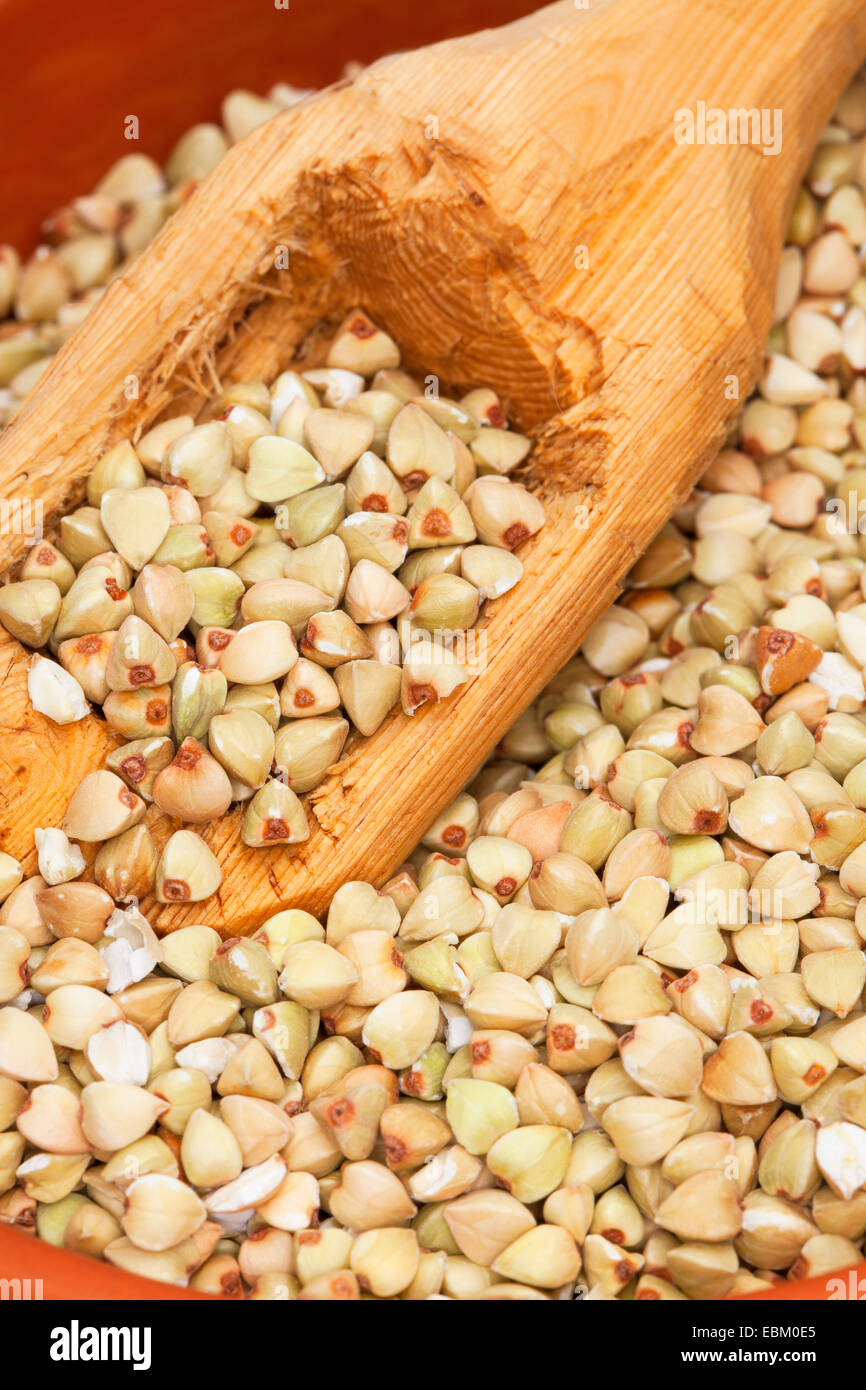 Il grano saraceno (Fagopyrum esculentum), semi nel piatto con un cucchiaio di legno Foto Stock