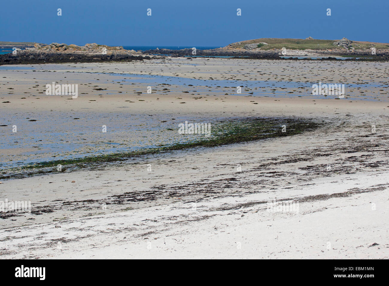 Tratto di spiaggia con la bassa marea, Francia Bretagna, Oceano Atlantico Foto Stock