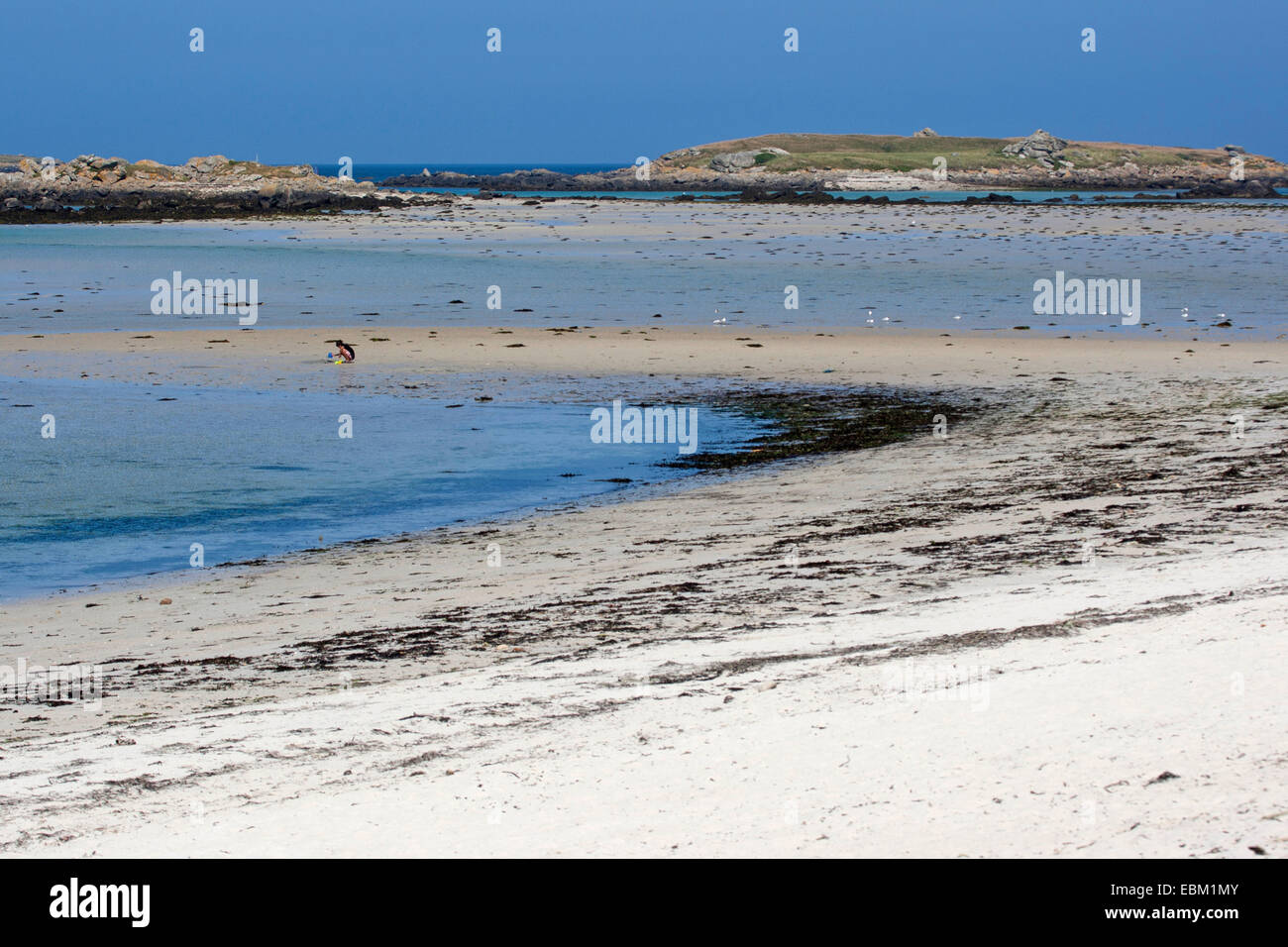 Tratto di spiaggia con la bassa marea, Francia Bretagna, Oceano Atlantico Foto Stock