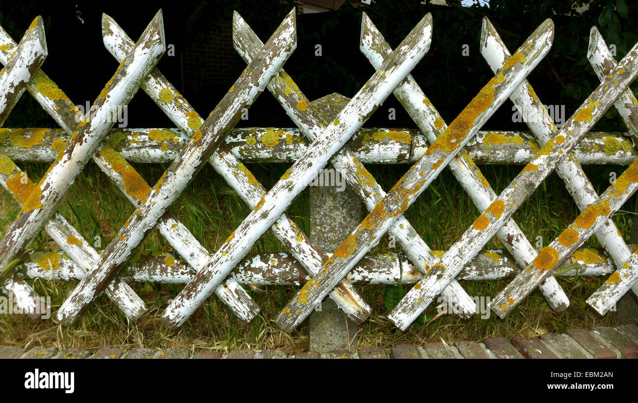 Vecchio recinto rustico ricoperta di licheni, Germania Foto Stock