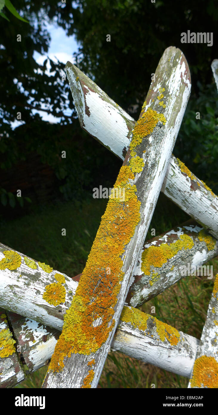 Vecchio recinto rustico ricoperta di licheni, Germania Foto Stock