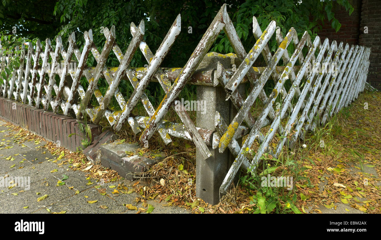 Vecchio recinto rustico ricoperta di licheni, Germania Foto Stock