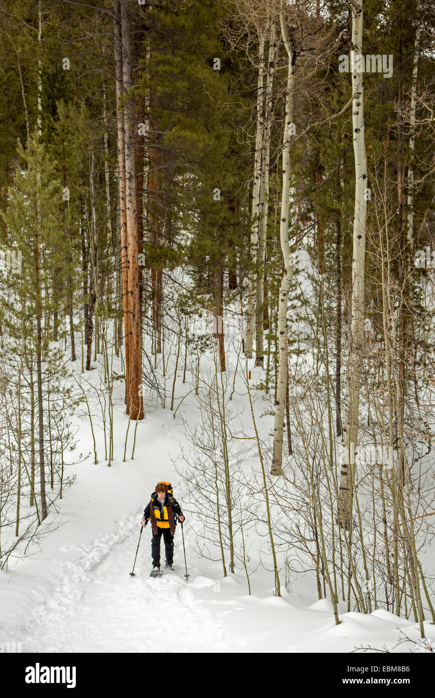 Snow shoer sul sentiero di Benedetto capanne, contrabbandiere di montagna, nei pressi di Aspen Colorado, STATI UNITI D'AMERICA Foto Stock