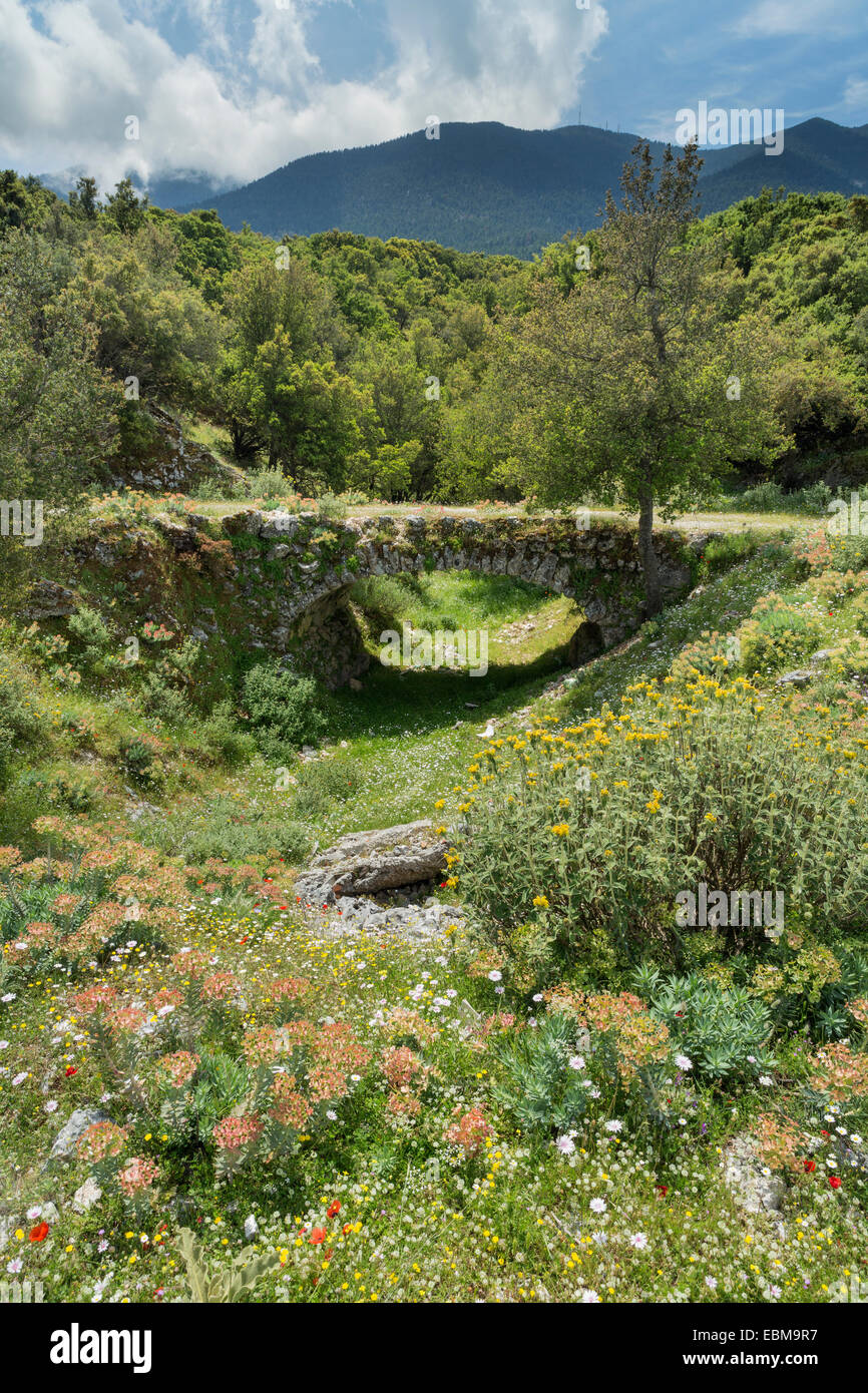 Un antico ponte in pietra e fiori selvatici da Digaleto, Cefalonia. Il monte Enos può essere visto in background Foto Stock