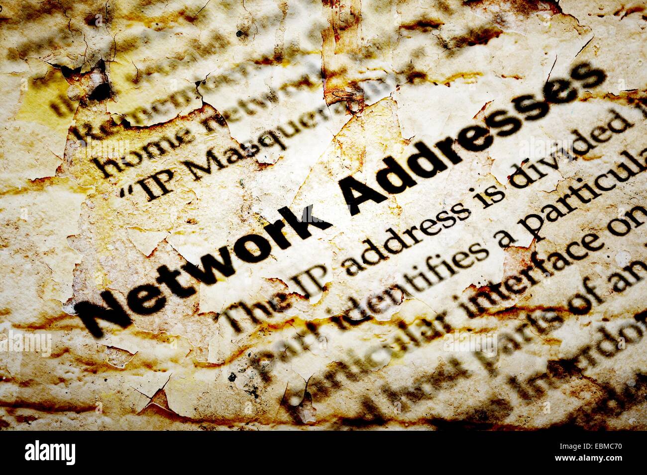 Indirizzo IP di rete Foto Stock