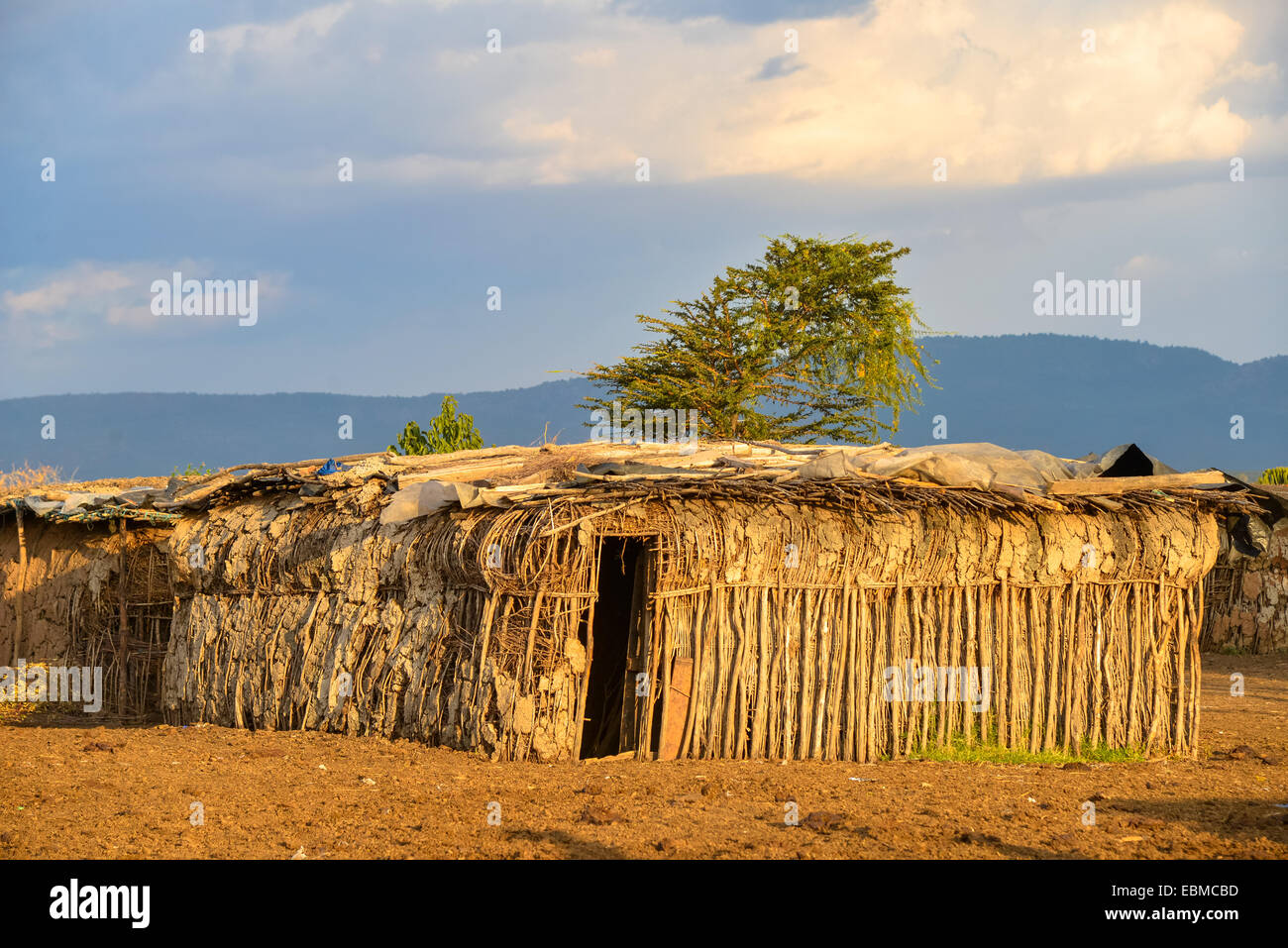 Masai Mara in Kenia Foto Stock