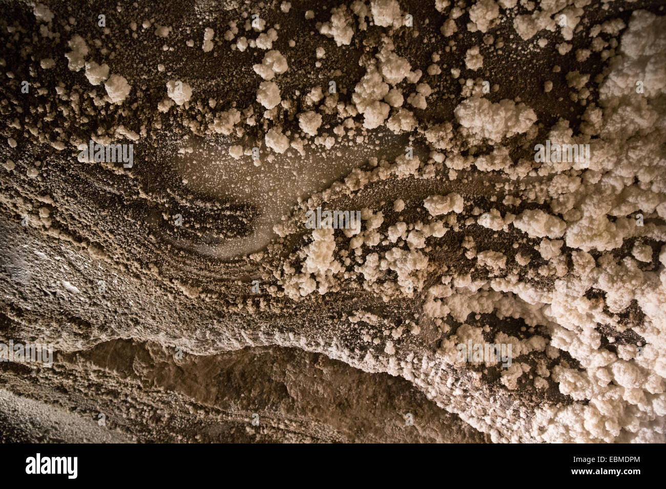 I cristalli di sale emergono sul sale gallerie a Miniere di Sale di Wieliczka , Cracovia in Polonia Foto Stock