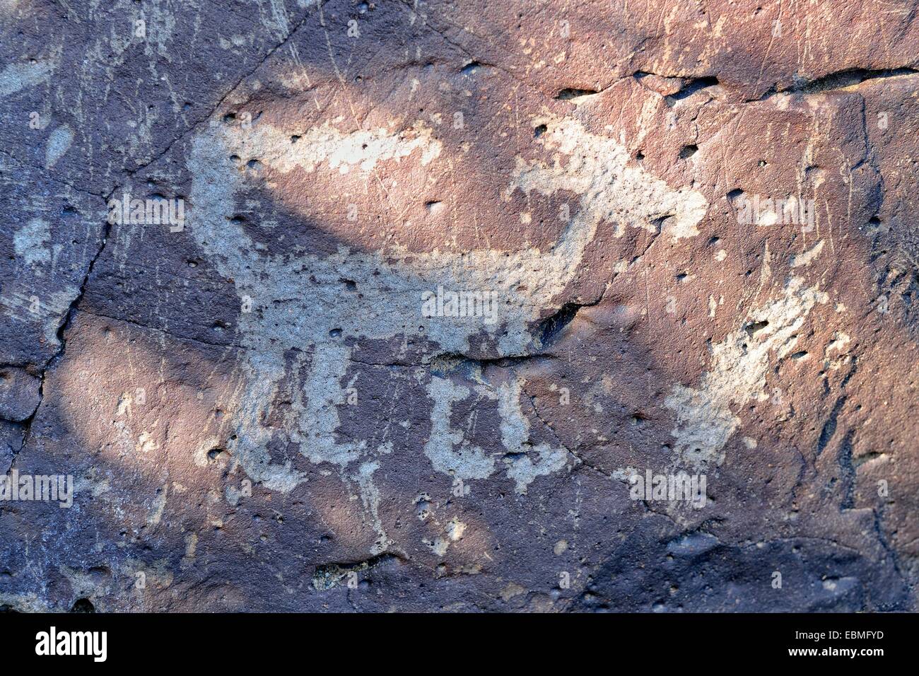 Petroglifi rappresentazione animale, sale River Canyon, Arizona, Stati Uniti Foto Stock