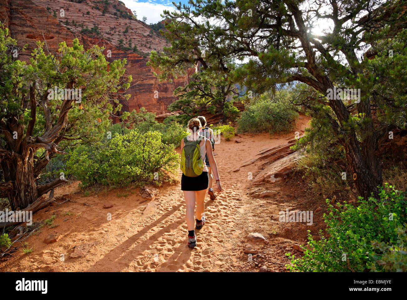 Gli escursionisti sul loro modo di Canyon Overlook, Parco Nazionale Zion, Utah, Stati Uniti Foto Stock