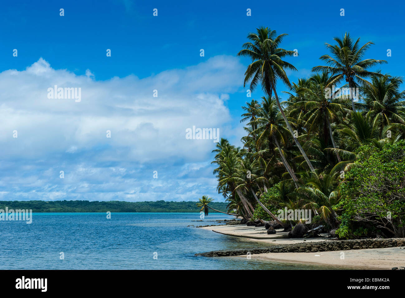 Spiaggia di sabbia bianca e palme, Yap Island, Isole Caroline, Stati Federati di Micronesia Foto Stock