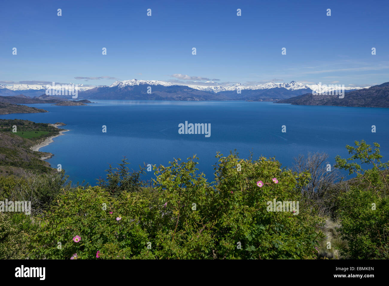 Lago di Carrera generale, Chile Chico, Regione di Aysén, Cile Foto Stock