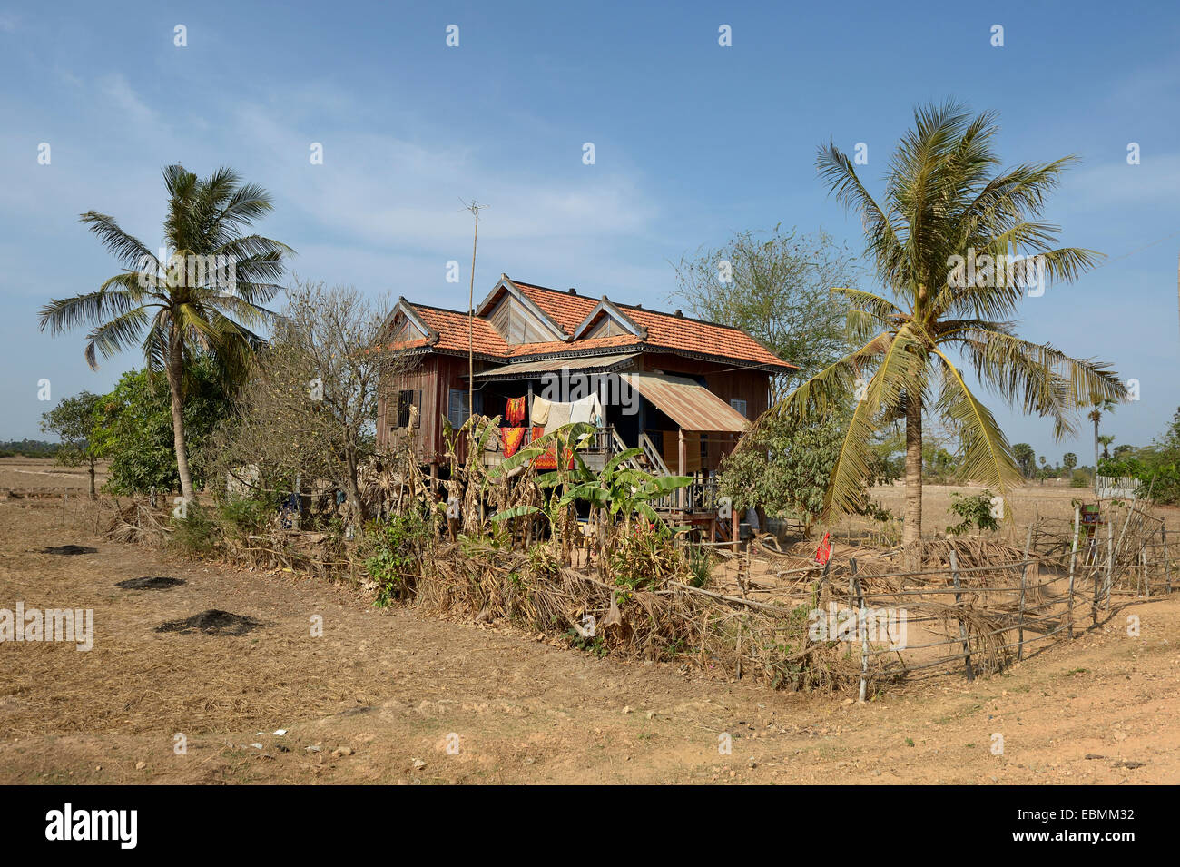 Casa Tradizionale su palafitte, circondato da un giardino con alberi di palma, Bathi Distretto, Provincia di Takéo, Cambogia Foto Stock