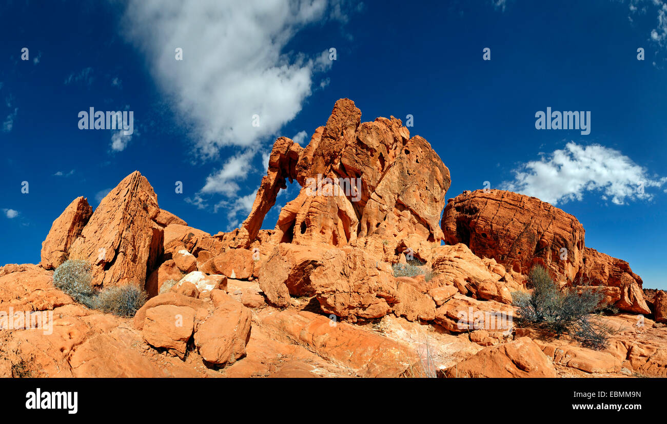 Pietra arenaria rossa formazione Elephant Rock, la Valle del Fuoco, Nevada, Stati Uniti Foto Stock