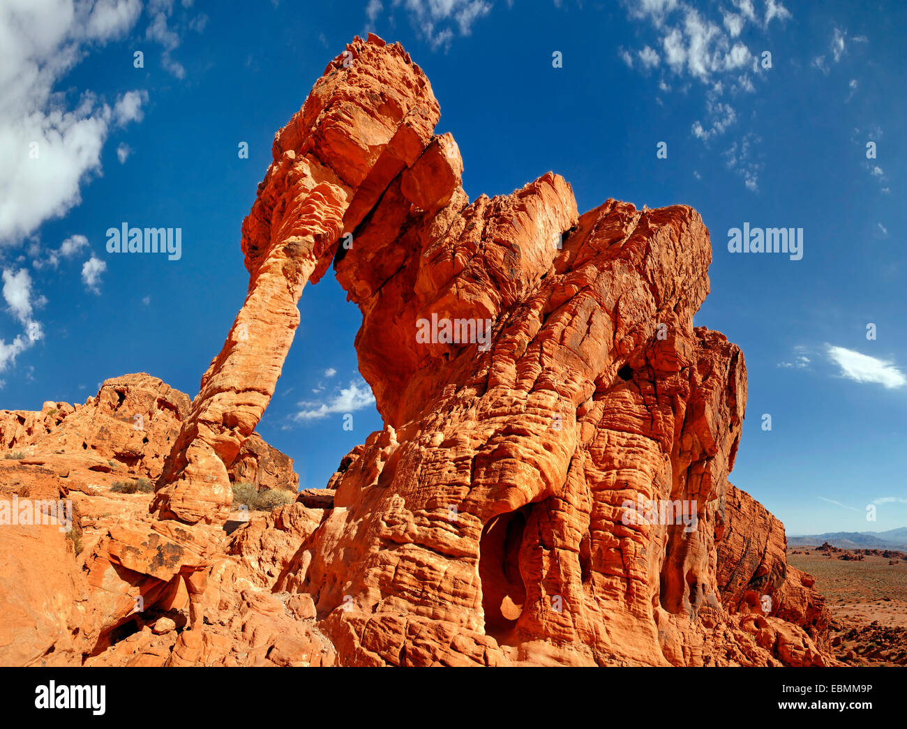 Pietra arenaria rossa formazione Elephant Rock, la Valle del Fuoco, Nevada, Stati Uniti Foto Stock