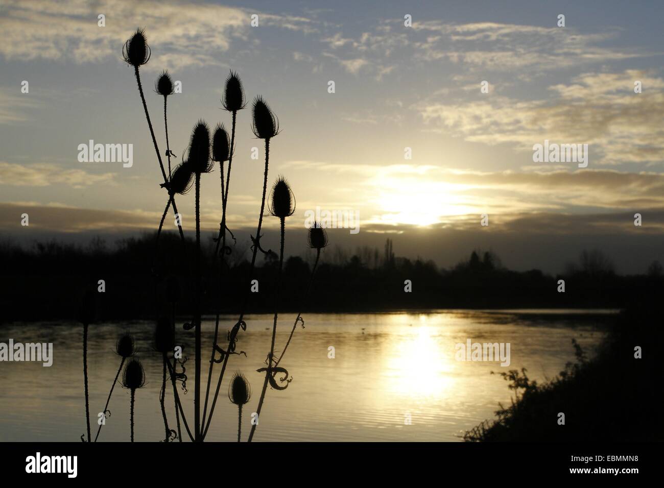 Giubileo River, Berkshire, Regno Unito. Il 3° dicembre 2014. Regno Unito meteo. Il sole sorge sopra il fiume giubilare a Datchet. Il fiume è un uomo fatto Soccorso alluvione progettato per deviare l'acqua dal Tamigi per arrestare e Maidenhead Windsor da inondazioni. Credito: Ed Brown/Alamy Live News Foto Stock