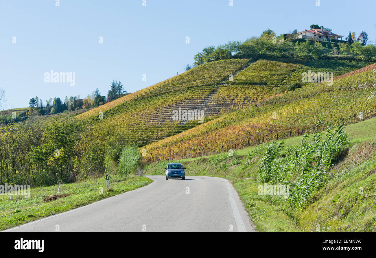 L'Italia,panorama di vigneti del Piemonte: Langhe-Roero e Monferrato nella Lista del Patrimonio Mondiale UNESCO Foto Stock