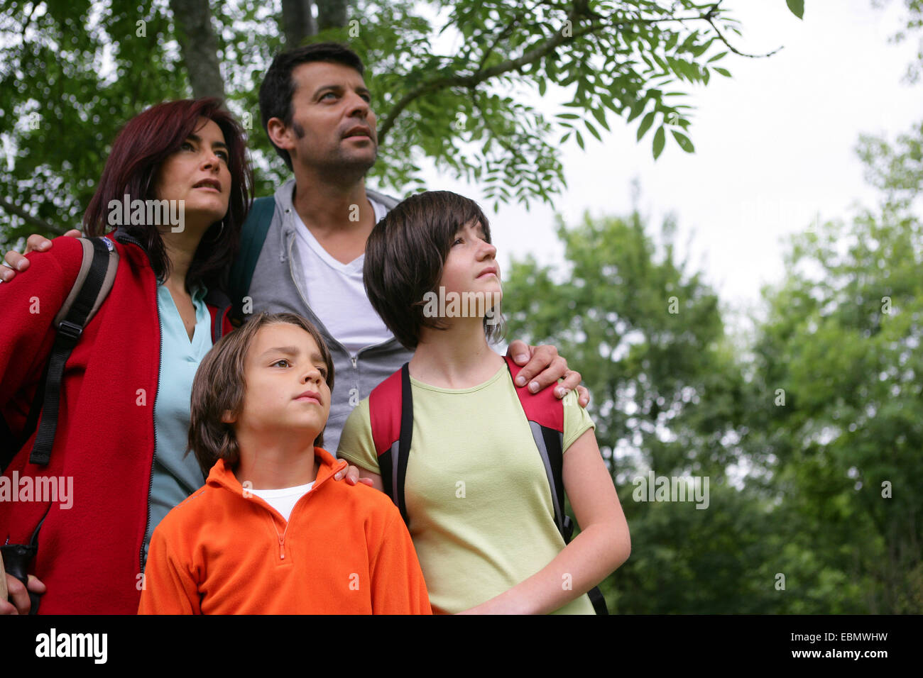 Una famiglia nella foresta guardando in alto Foto Stock