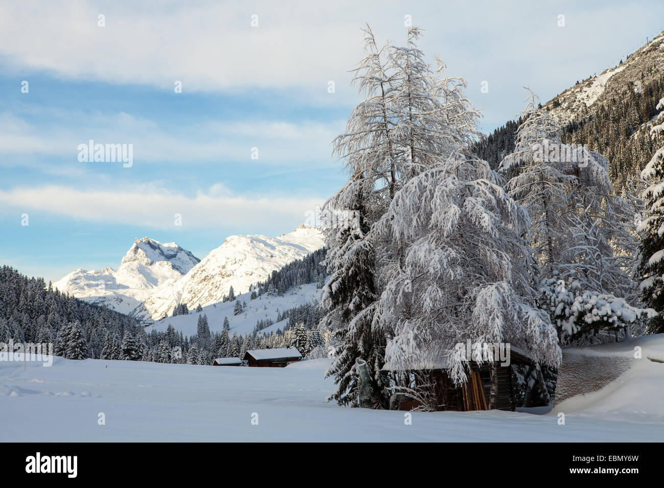 Paesaggio Di Inverno vicino a Lech, Austria Foto Stock