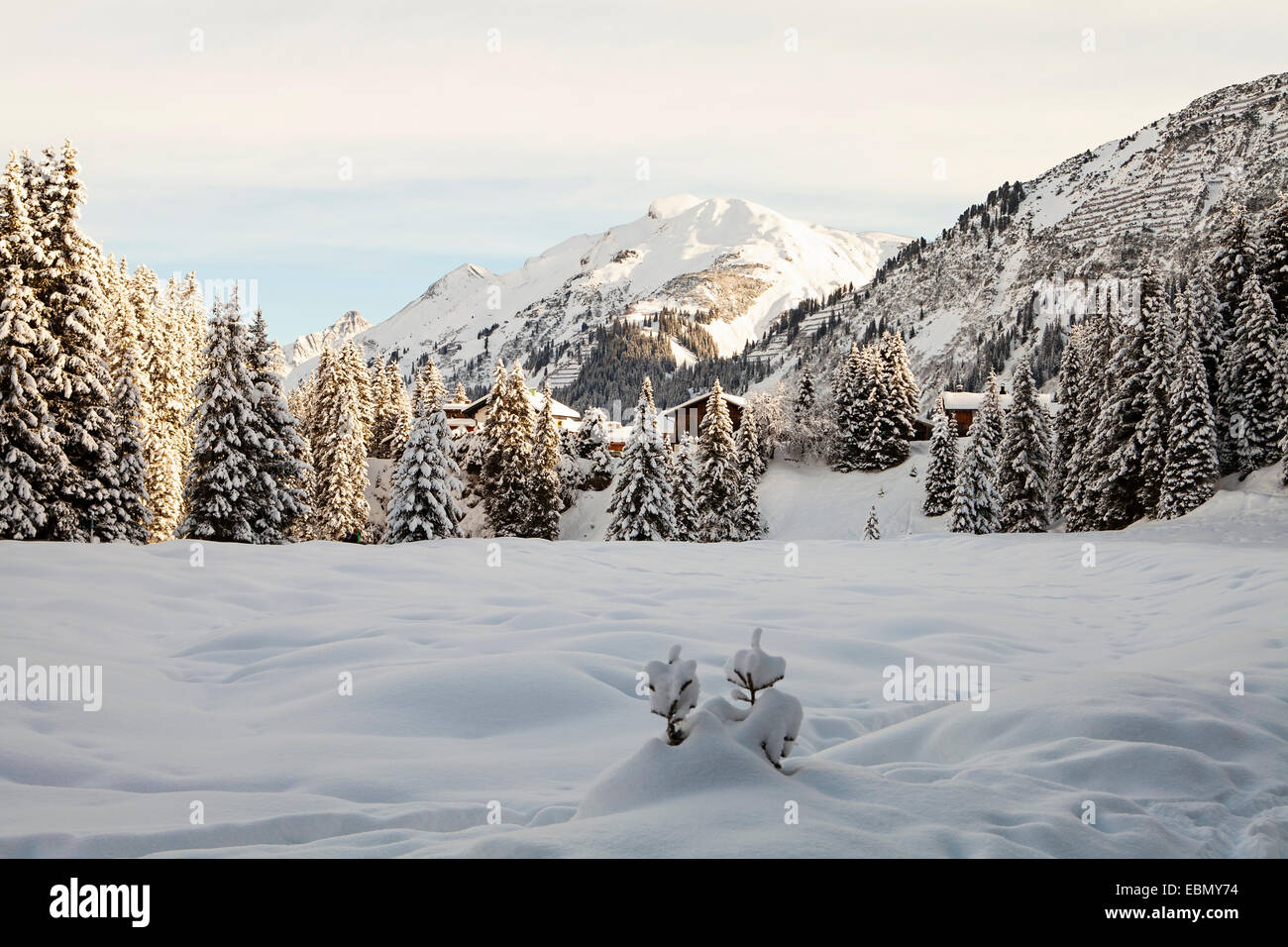 Paesaggio Di Inverno vicino a Lech, Austria Foto Stock