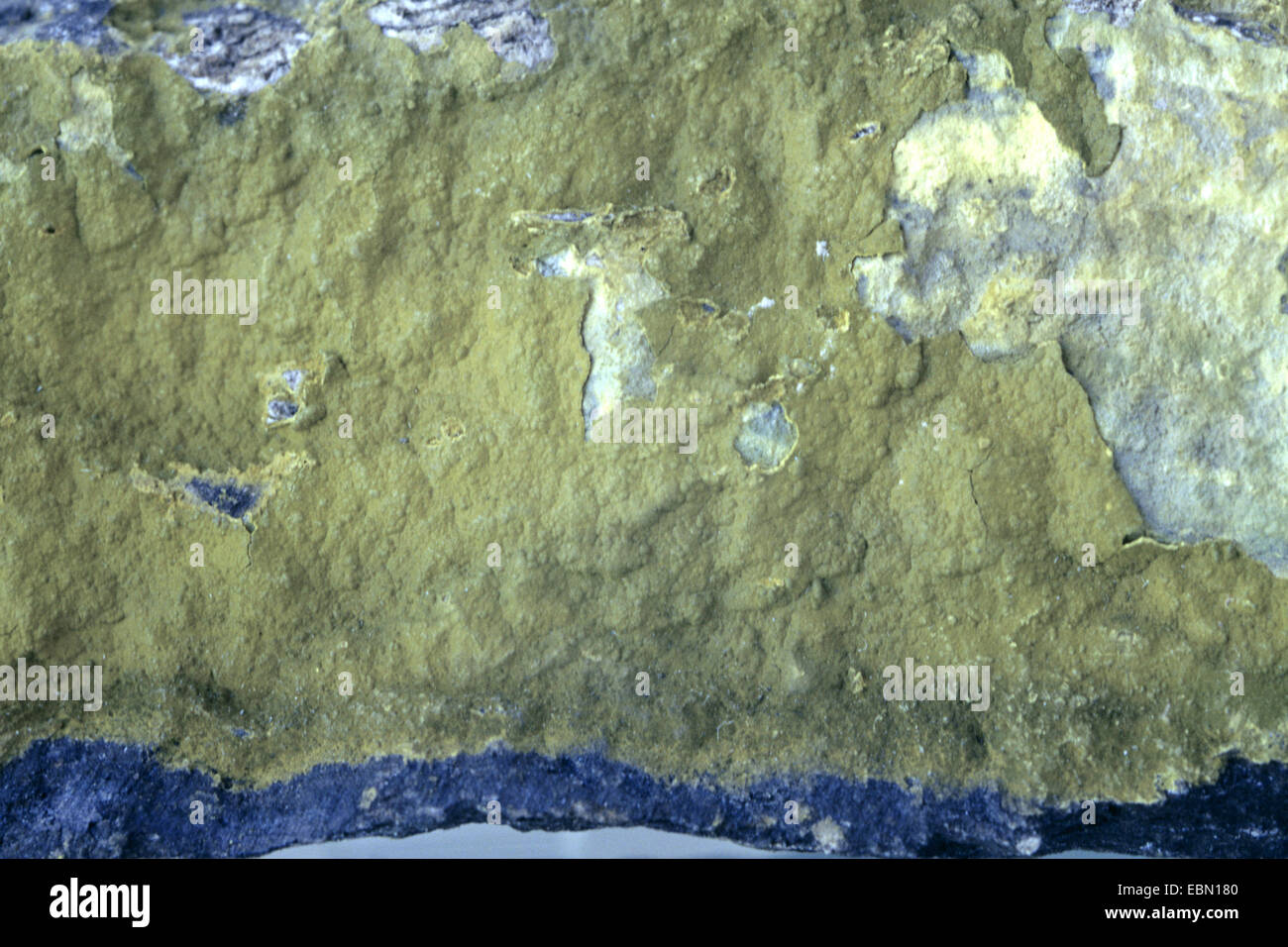 Tyuyamunite, USA, New Mexiko Foto Stock