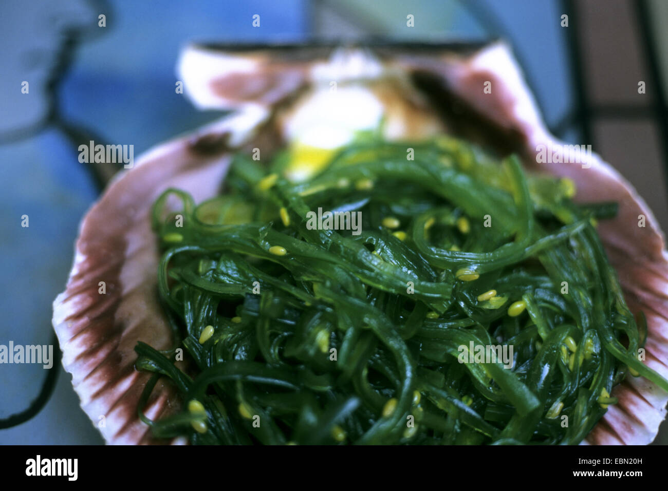Wakame (Undaria pinnatifida), alghe commestibili, Wakame con sesamo Foto Stock