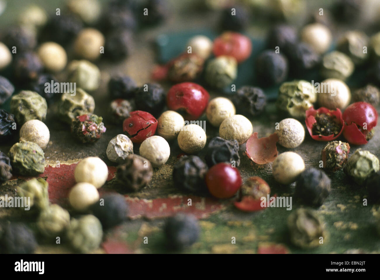 Pepe nero (Piper nigrum), mix di nero, verde, bianco e pepe rosso Foto Stock