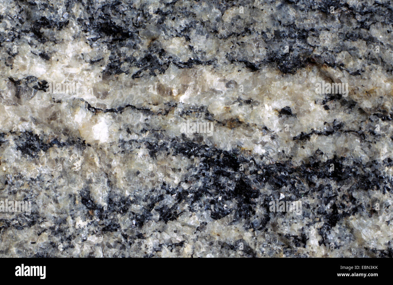 gneiss Foto Stock