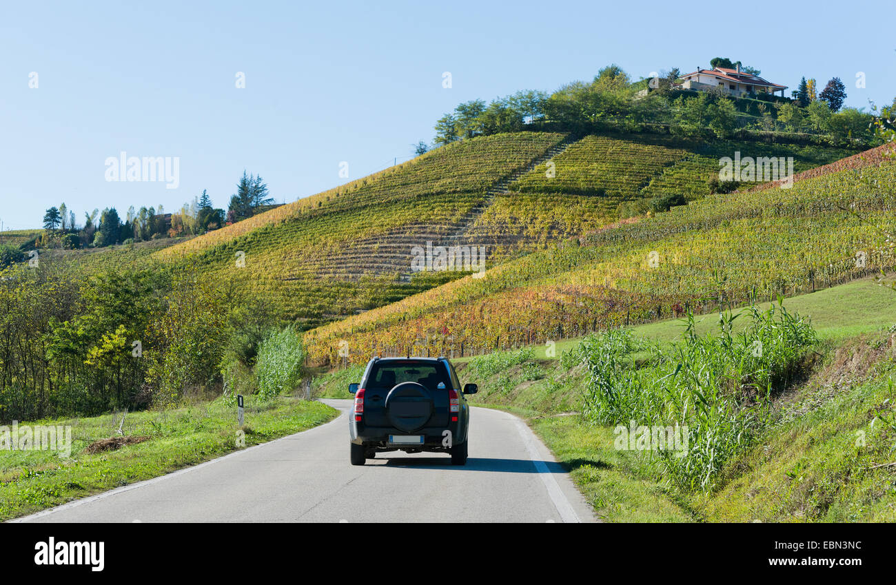 L'Italia,panorama di vigneti del Piemonte: Langhe-Roero e Monferrato nella Lista del Patrimonio Mondiale UNESCO Foto Stock