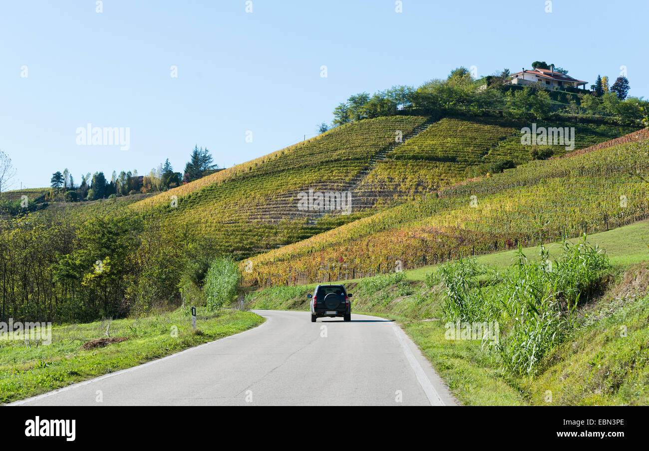 L'Italia,panorama di vigneti del Piemonte: Langhe-Roero e Monferrato nella Lista del Patrimonio Mondiale UNESCO Foto Stock